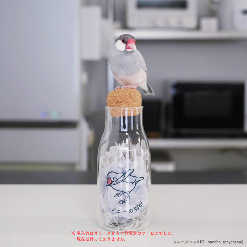 うちの子の色に染める!羽根ボトル専用 透明ステッカー
