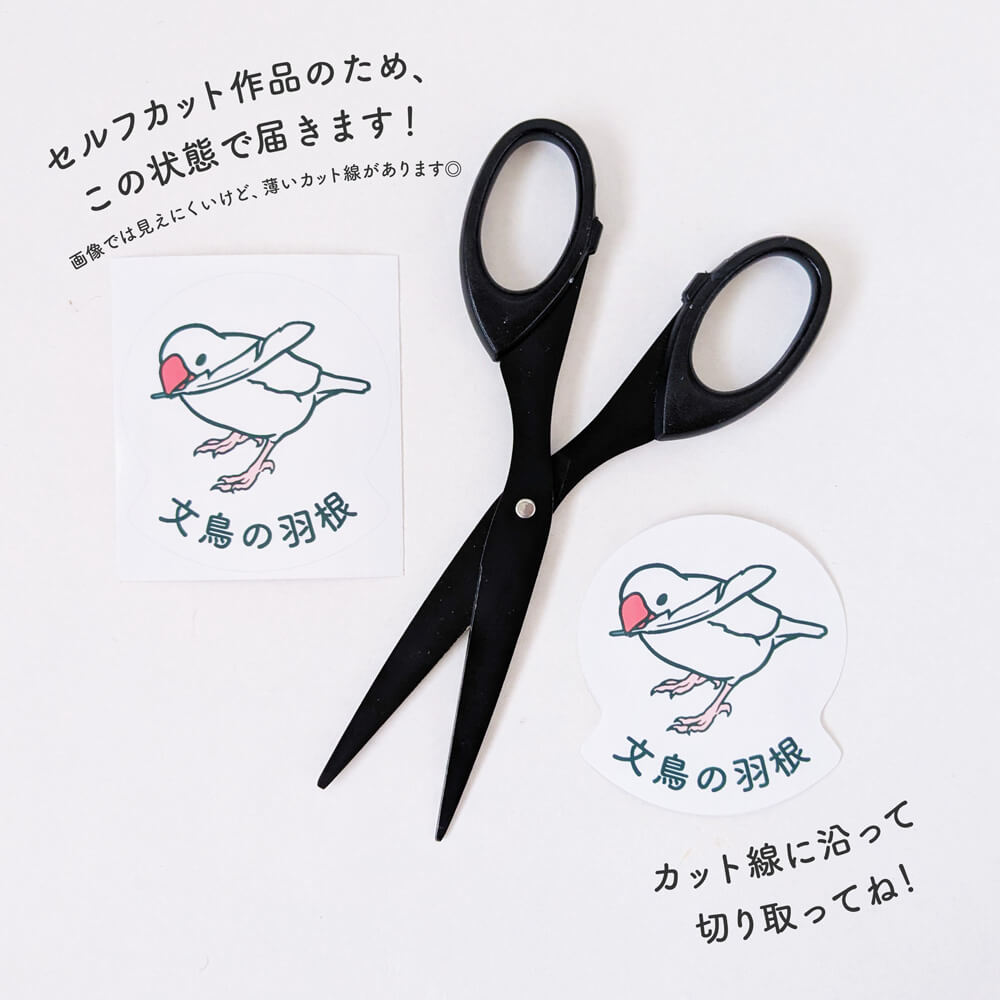 文鳥の羽根入れボトル容器ステッカー 日々ぶんちょう 文鳥グッズ専門店