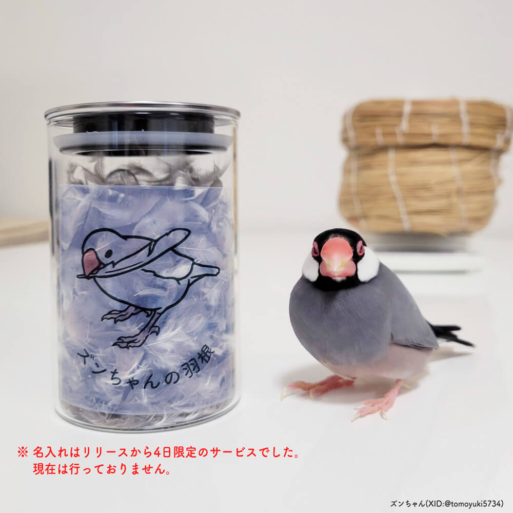 うちの子の色に染める!羽根ボトル専用 透明ステッカー