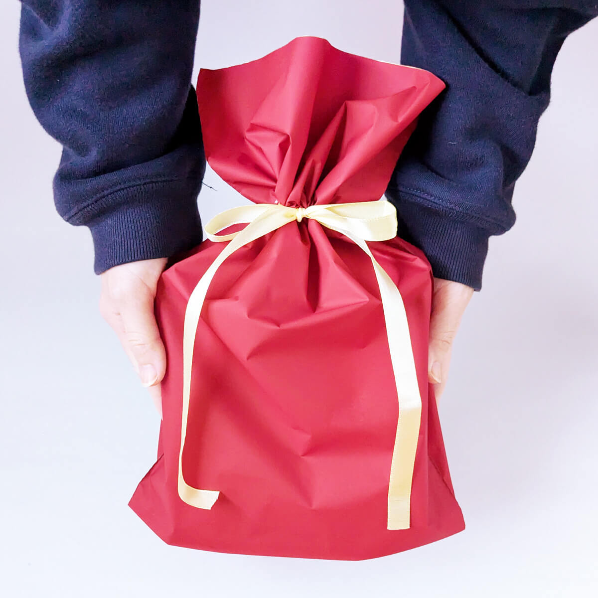 文鳥 クリスマスギフトセット 2024年 靴下 日々ぶんちょう 雑貨