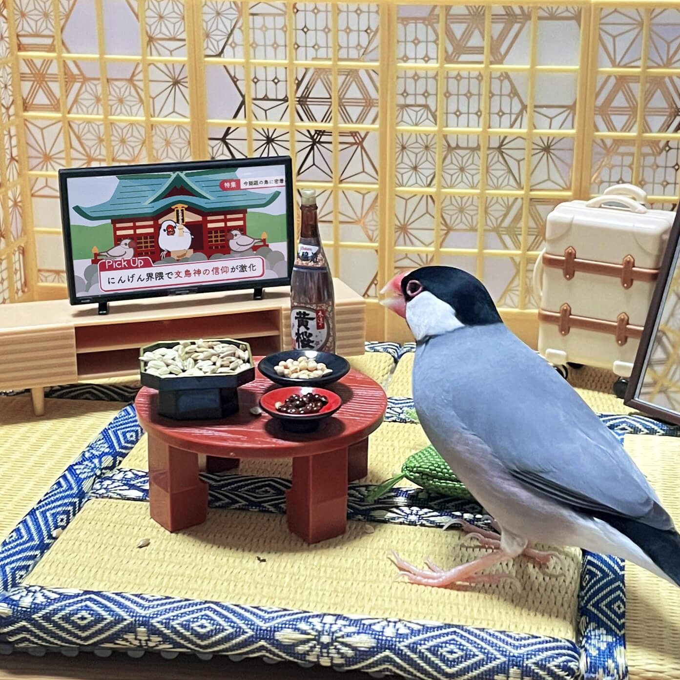 文鳥専門ミニチュアテレビ 文鳥グッズ専門店 日々ぶんちょう