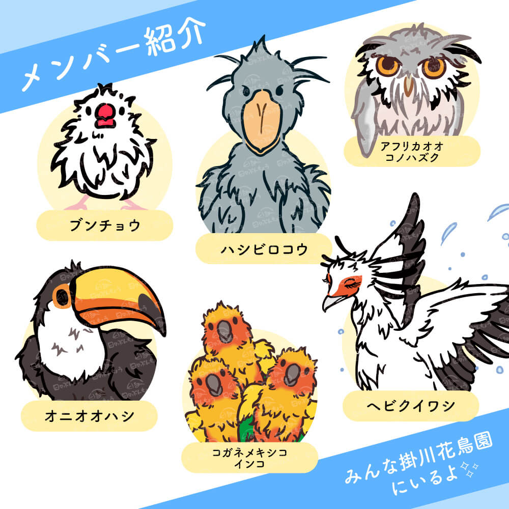 【ことり万博 直販イベント限定】“掛川花鳥園の水浴び友達を紹介する文鳥” びしょびしょフェイスタオル ※通販不可のため掲載のみ