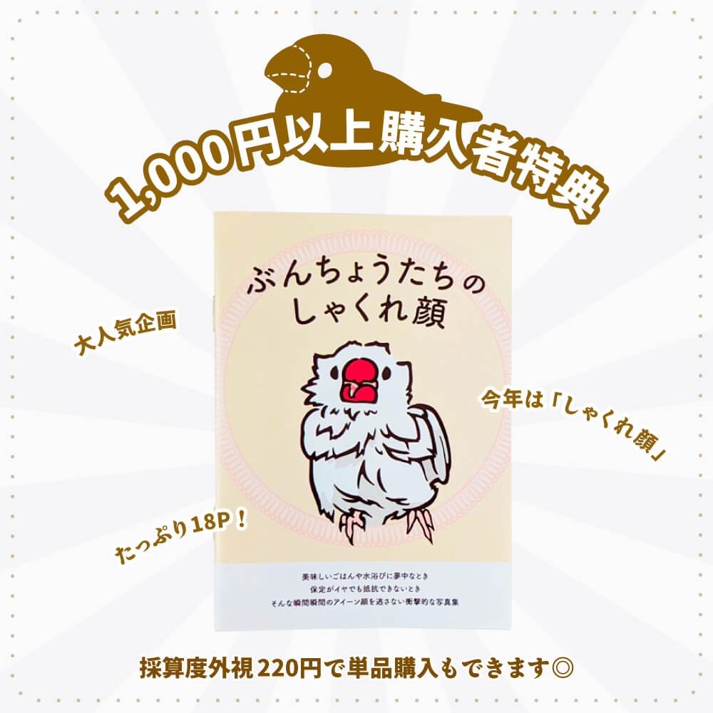 文鳥の日(10/24)購入者特典】文鳥写真集「ぶんちょうたちのしゃくれ顔