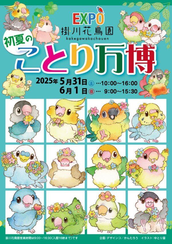 【ことり万博 直販イベント限定】“掛川花鳥園の水浴び友達を紹介する文鳥” びしょびしょフェイスタオル ※通販不可のため掲載のみ
