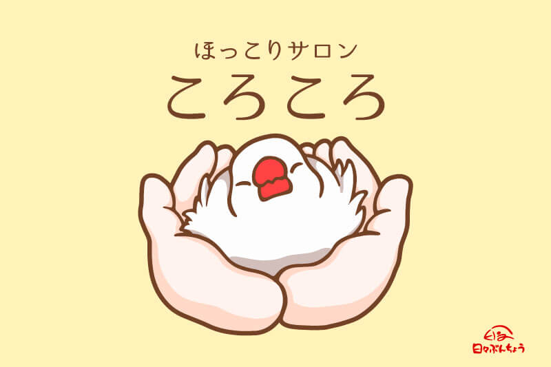 【ロゴ・看板制作】ほっこりサロン ころころ