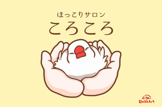 【ロゴ・看板制作】ほっこりサロン ころころ