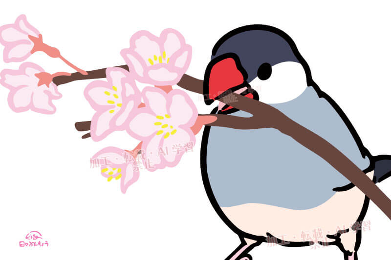 【イラスト】桜咲く🌸桜文鳥