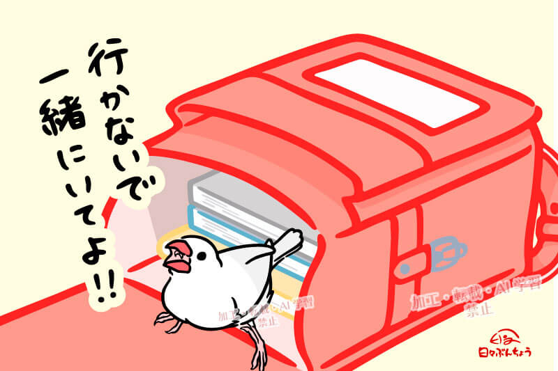 【イラスト】登校を阻止する文鳥