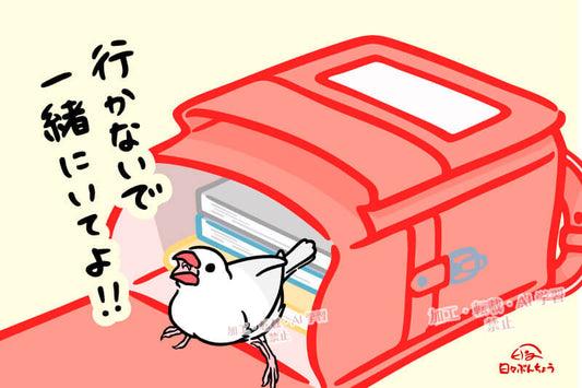 【イラスト】登校を阻止する文鳥