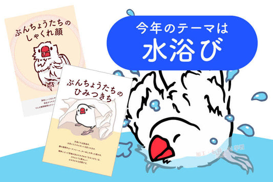 【お写真大募集】大好評の文鳥写真集！今年は水浴び姿に決定✨
