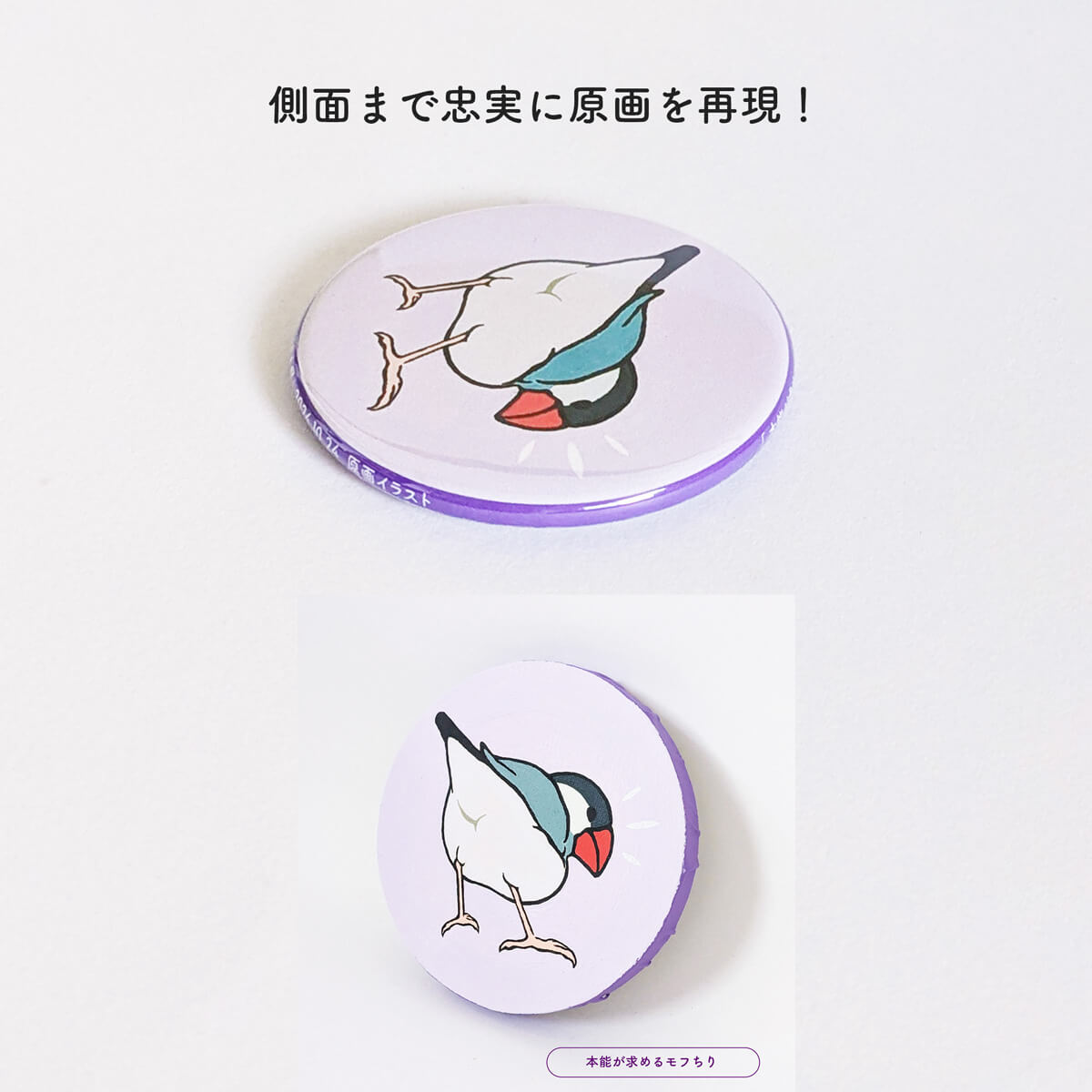 【文鳥の日(10/24)~28日迄】日々ぶんちょう初個展★原画缶バッジ