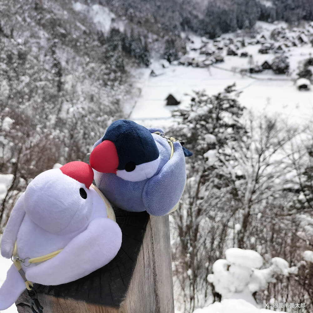 「つれてってぶんちょう」つれぶん 文鳥ぬいぐるみ