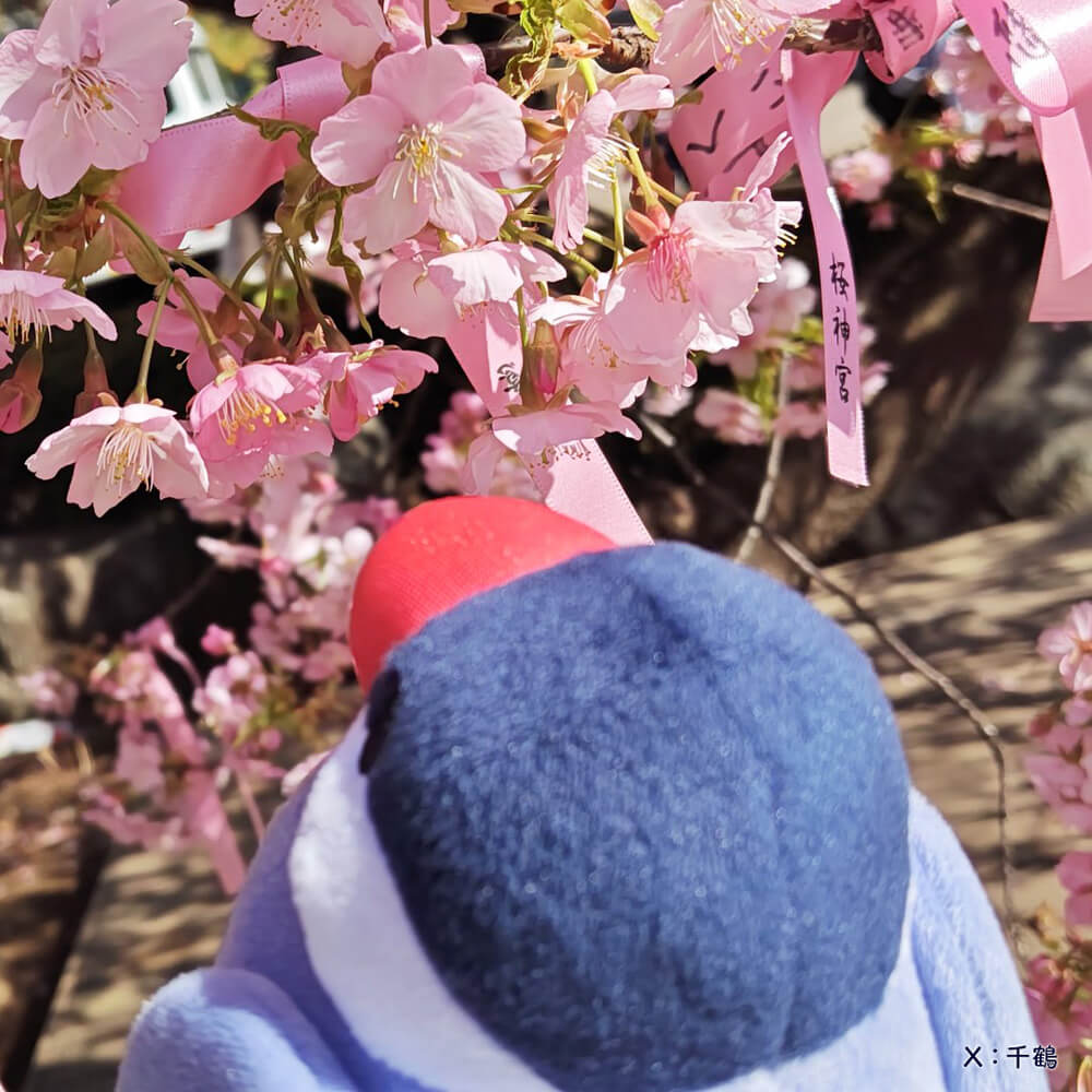 「つれてってぶんちょう」つれぶん 文鳥ぬいぐるみ