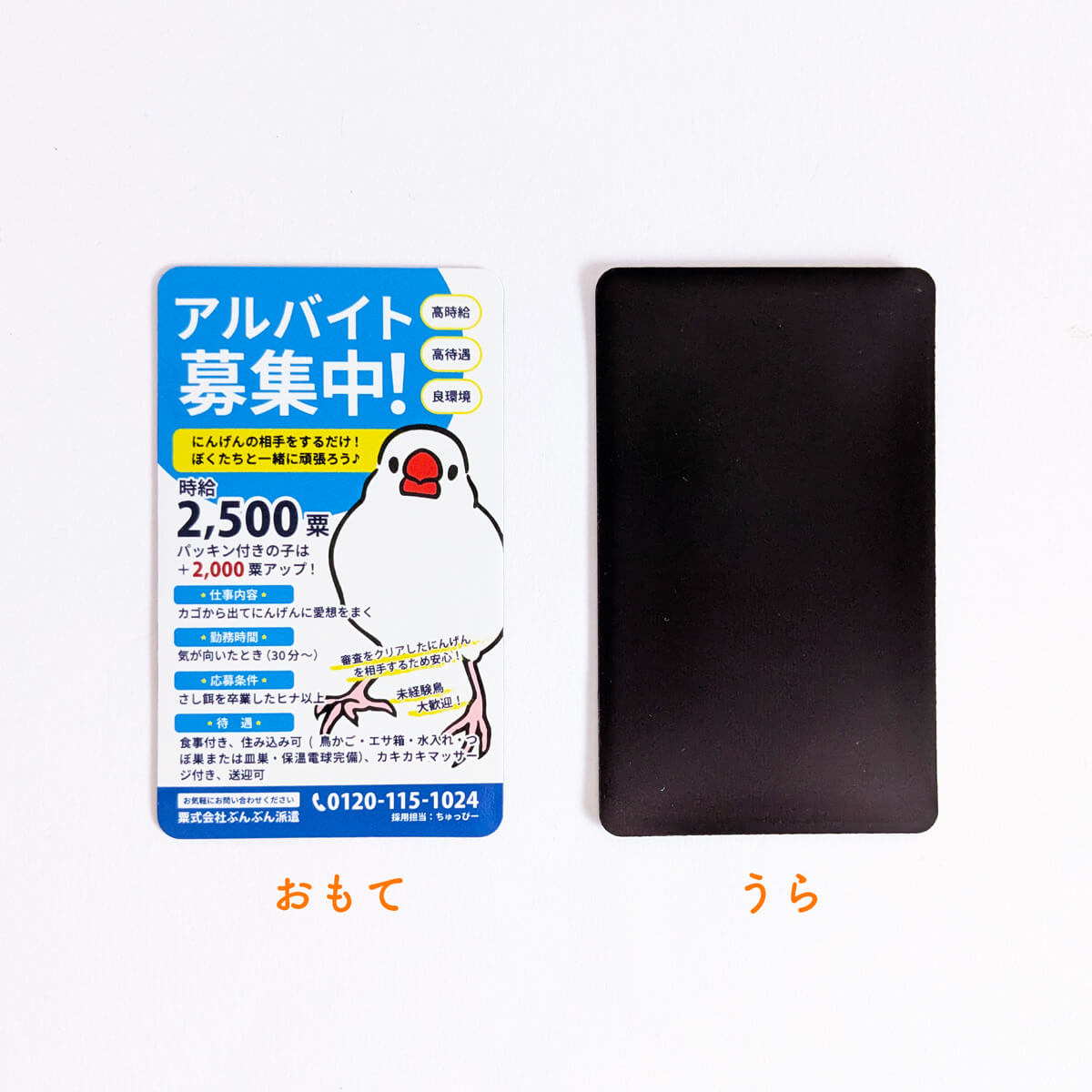 【文鳥の日(10/24)スタート】にんげんの相手をするだけ！高待遇★「アルバイト募集中」マグネット