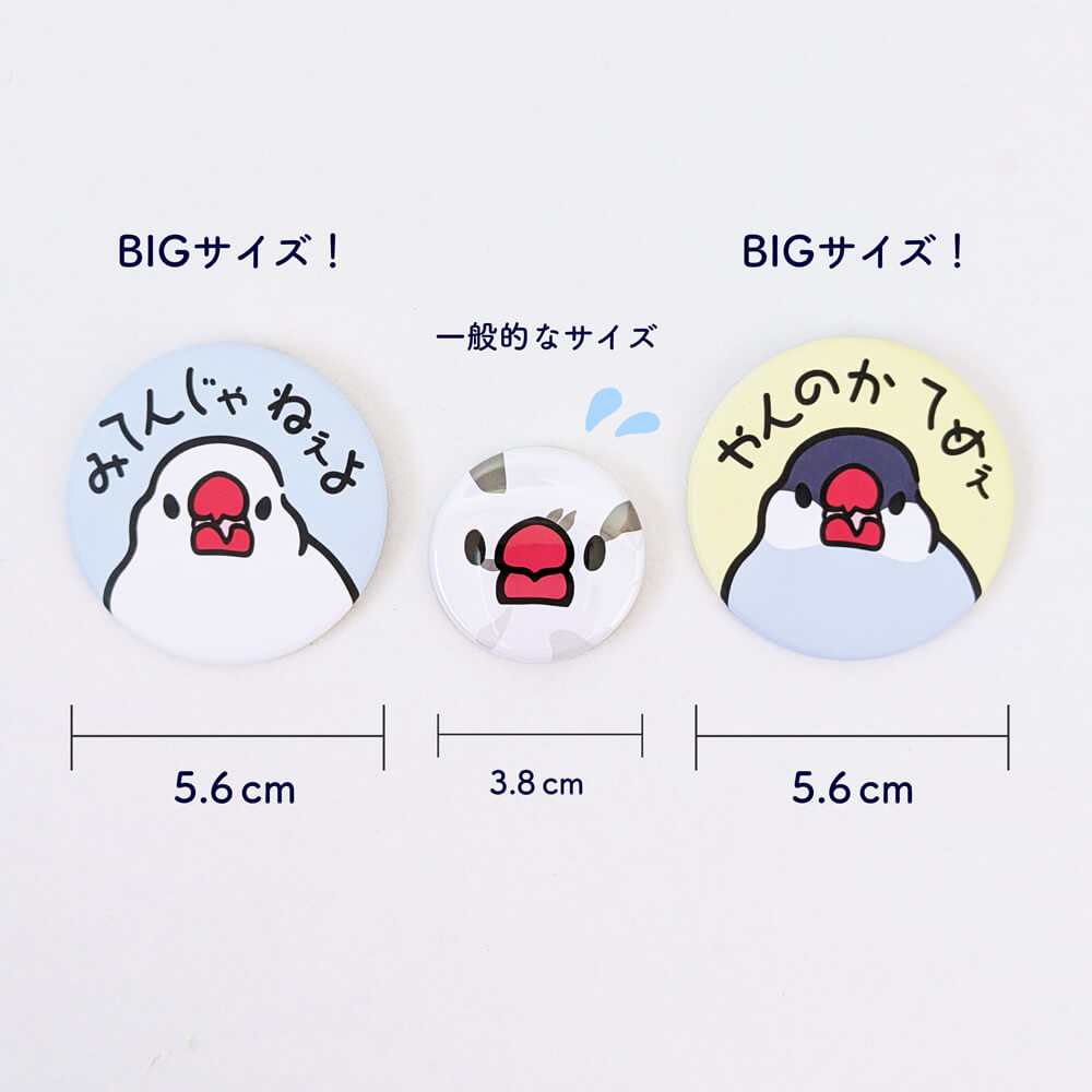 【10月24日★ひびぶんフェスから開始】治安の悪い文鳥BIG缶バッジ⚡️ 態度もサイズも大きめが命！