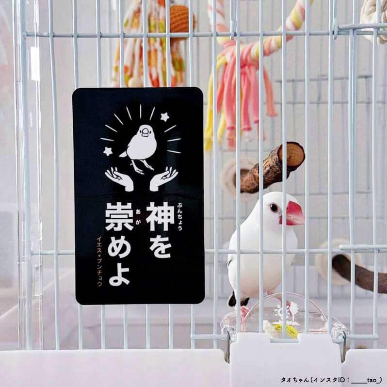 文鳥 ポスター風マグネット 「文鳥神を崇めよ」 ひびぶんフェス2024 日々ぶんちょう 雑貨