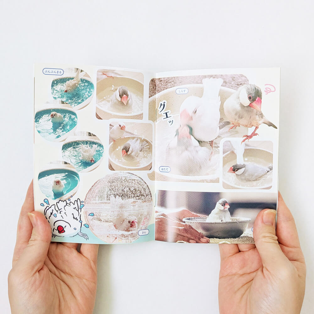 ［10月24日★購入者特典］文鳥ずぶ濡れ写真集「ぶんちょうたちのみずあび」小冊子［ひびぶんフェス2026］