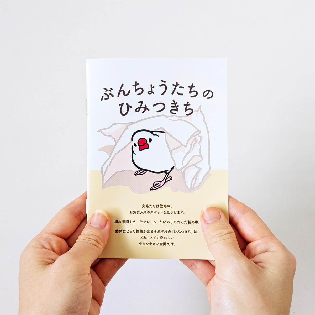 日々ぶんちょう 初個展 2024年 文鳥 特典冊子 「ぶんちょうたちのひみつきち」 雑貨