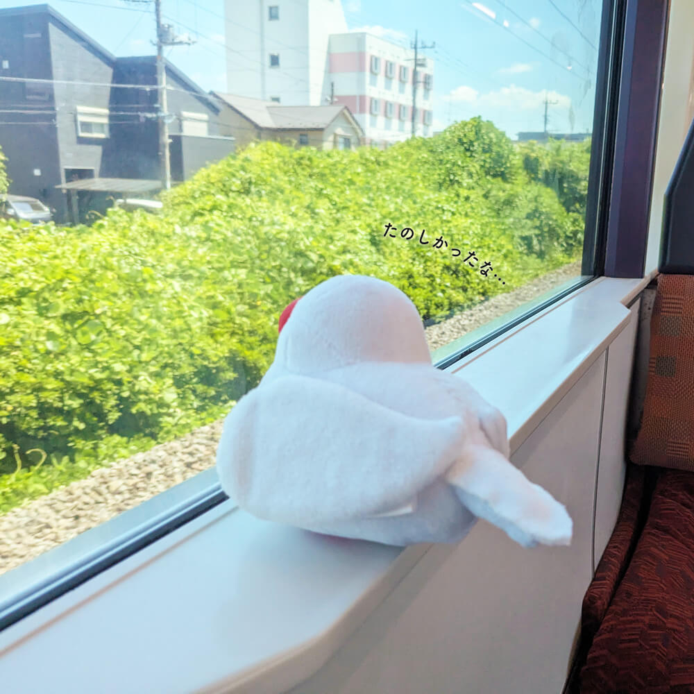文鳥ぬいぐるみ つれてってぶんちょう つれぶん 文鳥グッズ専門店 日々ぶんちょう