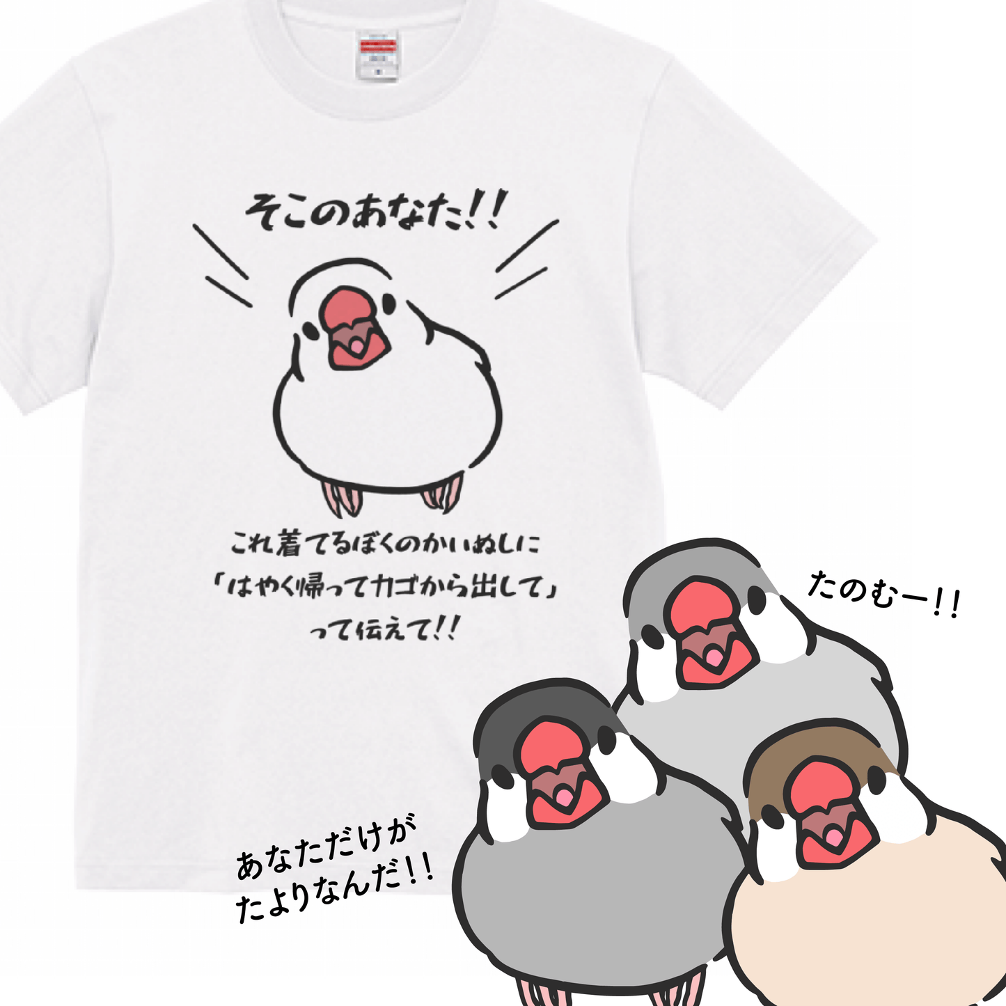 文鳥Tシャツ そこのあなた！これ着てるかいぬしに「はやく帰ってカゴから出して」って伝えて‼ 文鳥グッズ専門店 日々ぶんちょう