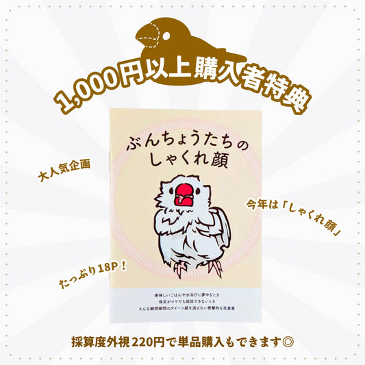［ひびぶんフェス2025★購入者特典］文鳥写真集「ぶんちょうたちのしゃくれ顔」小冊子