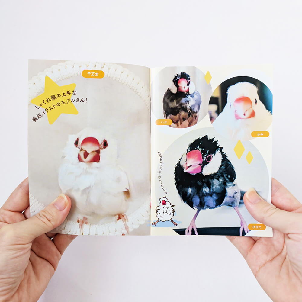 文鳥の日(10/24)購入者特典】文鳥写真集「ぶんちょうたちのしゃくれ顔