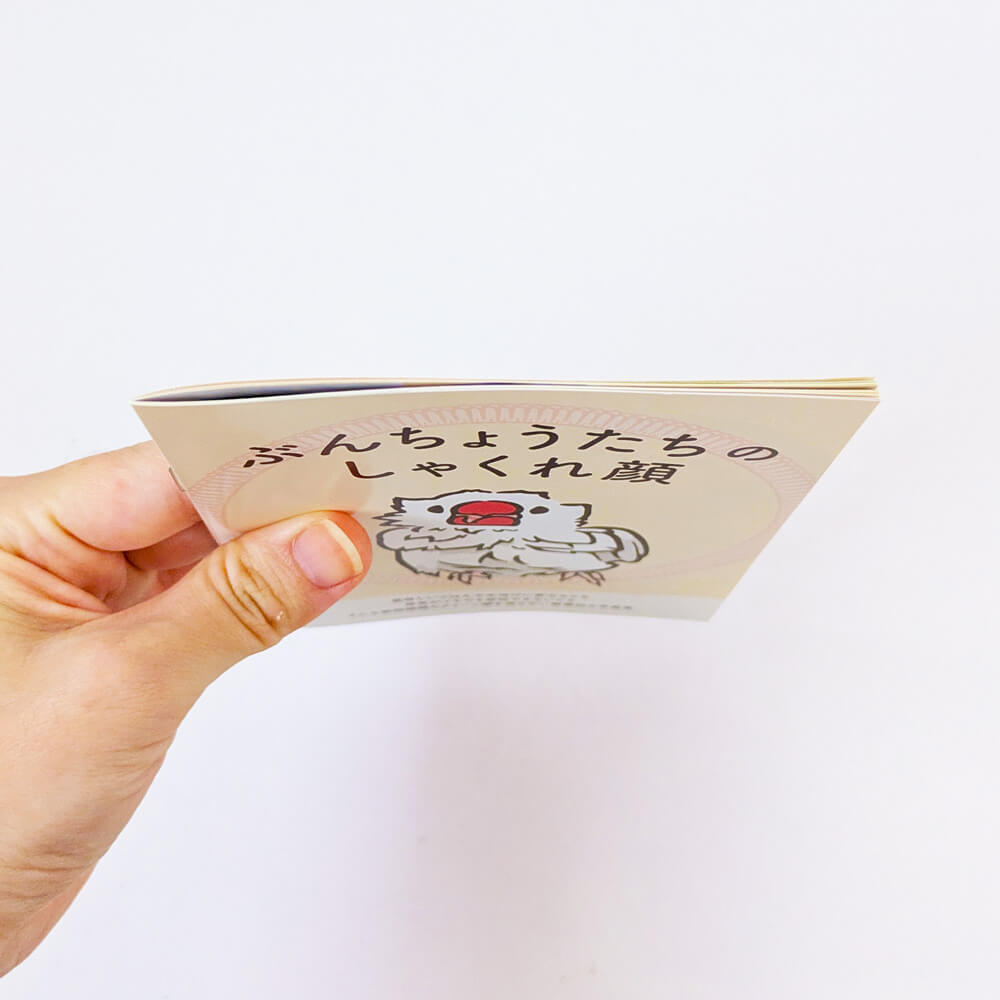 文鳥の日(10/24)購入者特典】文鳥写真集「ぶんちょうたちのしゃくれ顔