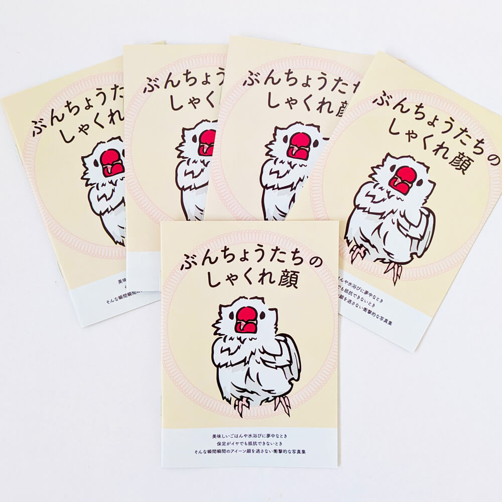文鳥の日(10/24)購入者特典】文鳥写真集「ぶんちょうたちのしゃくれ顔