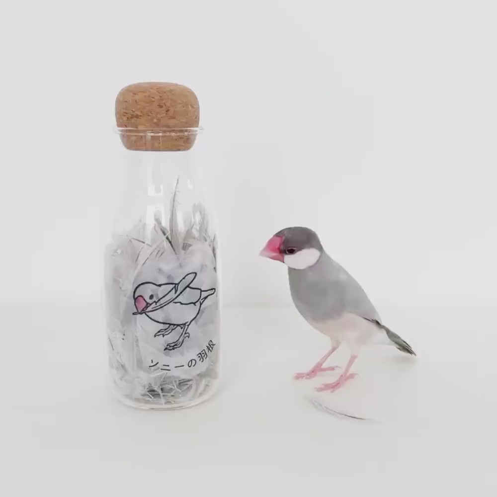 4日間限定キャンペーン中】うちの子の羽根専用ボトルが簡単に作れる